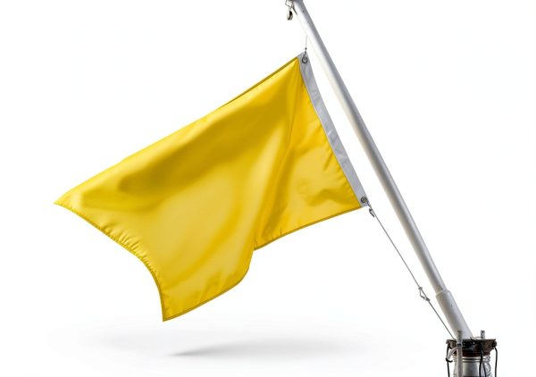 Boyiee Yellow Quarantine Flag for Boaters-1