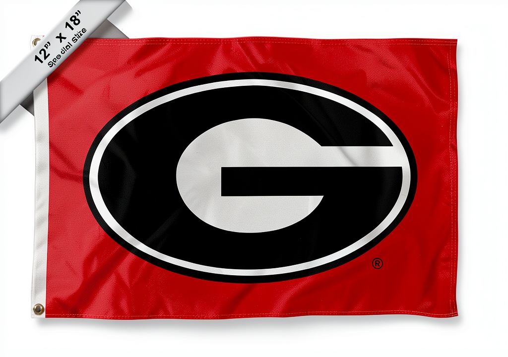 College flags and banners co. 12x18 boat cabin flag